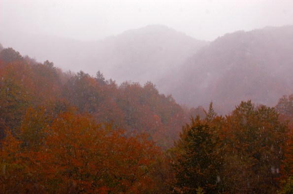 Umbria, Appennino, boschi