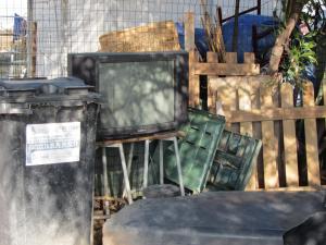 Quartu S. Elena, Poetto, Dog Island, i cani - si sa - amano la tv 