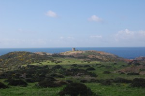 Bosa, Torre Argentina