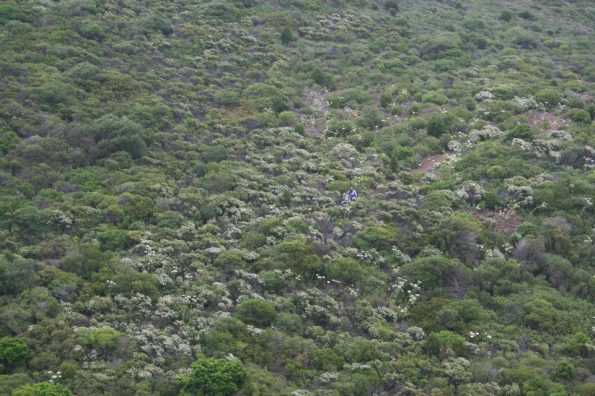 Carloforte, Capo Sandalo, motocross in area interdetta (aprile 2013)
