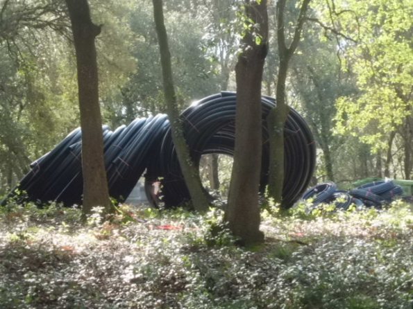 Castagneto Carducci, Marina di Donoratico, lavori in corso