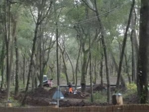 Castagneto Carducci, Marina di Donoratico, lavori in corso