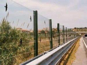 pannelli fonoassorbenti con sagome di rapaci