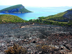 Golfo Aranci, Capo Figari, effetti dell'incendio del 24 giugno 2013