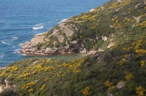 Bosa, costa di Torre Argentina