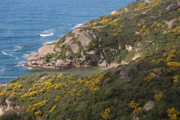 Bosa, costa di Torre Argentina