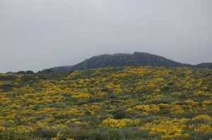 Bosa, costone di Sa Pittada
