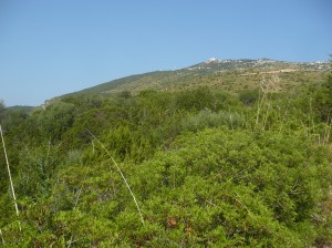 Golfo Aranci, Capo Figari (com'era fino al 24 giugno 2013)