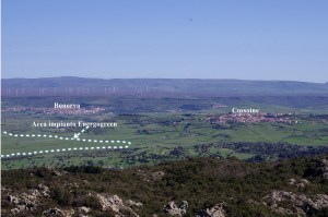 Cossoine - Bonorva, impatto cumulativo centrale eolica (esistente) + centrale solare termodinamica (in progetto)
