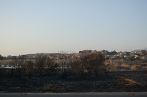 Quartu S. Elena, parco naturale regionale "Molentargius - Saline", incendio (agosto 2013)