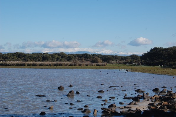 Tuili - Gesturi, Giara, Pauli Maiori, bosco, sullo sfondo il Gennargentu innevato
