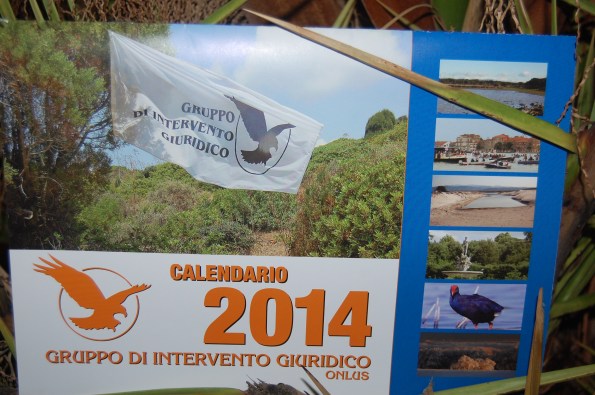 calendario 2014, copertina