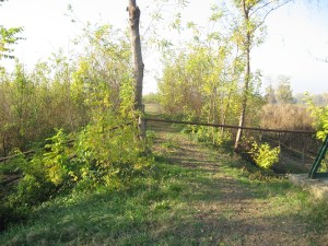 Fiume Bacchiglione, tratto fra  Cervarese S.Croce (PD) e Montegaldella (VI),  argine sbarrato