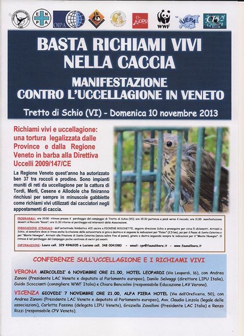 manifestazione 10.11.13