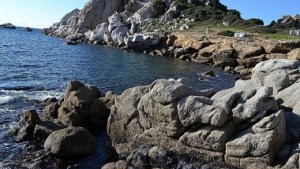 Golfo dell'Asinara, marea nera, inquinamento