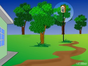 mangiatoia per i Picchi