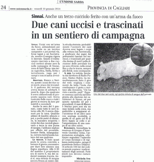 L'Unione Sarda, 10 gennaio 2014