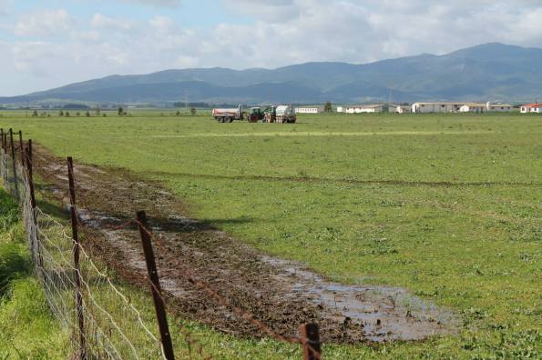 Decimoputzu, spargimento liquami in area agricola