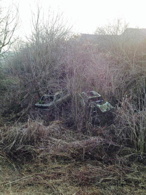 Veggiano, automobili abbandonate nella vegetazione