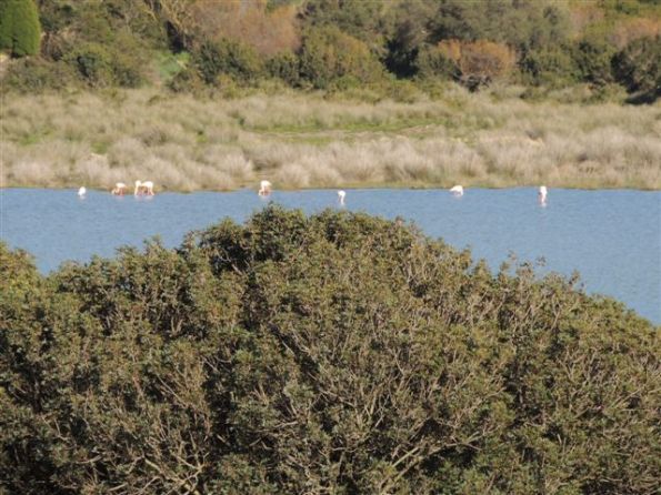 Domus de Maria, Stagno di Pixinnì