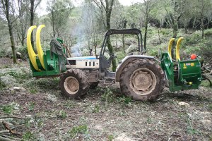 Foresta demaniale Marganai, tagli boschivi