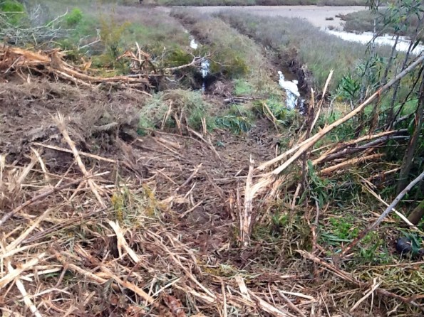 Carloforte, Saline, taglio vegetazione e transito veicoli
