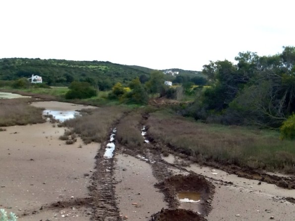 Carloforte, Saline, taglio vegetazione e transito veicoli