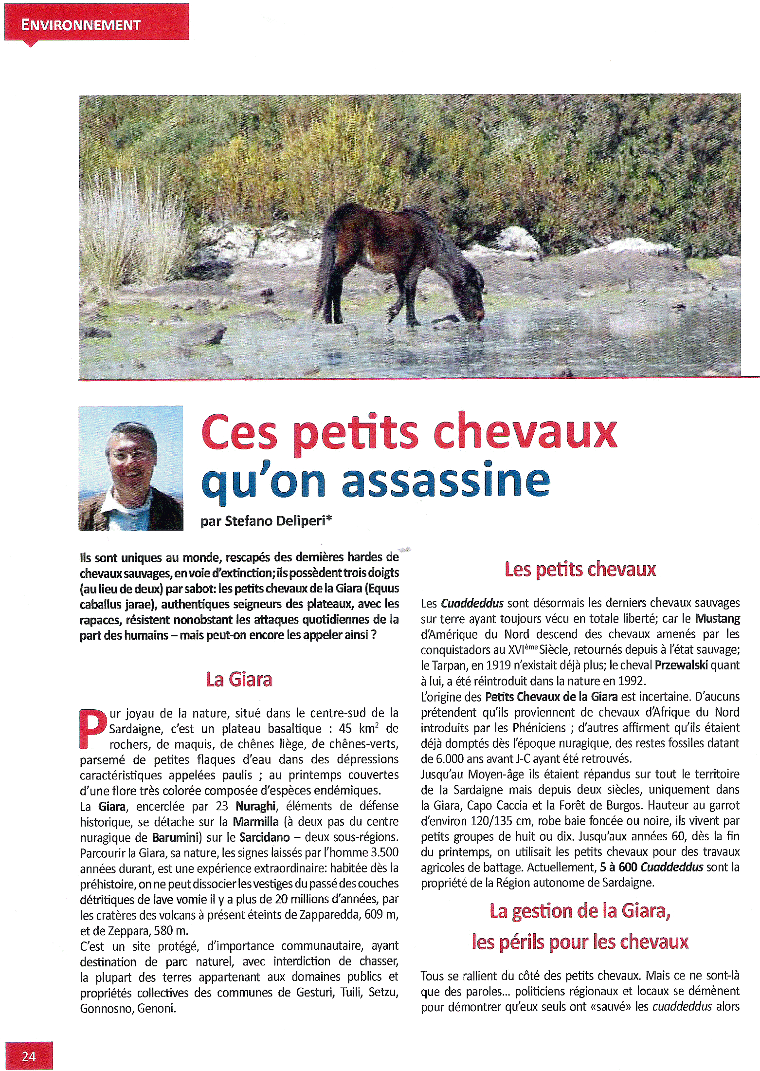 La Giara e i Cavallini….in Francia. | Gruppo d'Intervento Giuridico (GrIG), image size:1562x2200