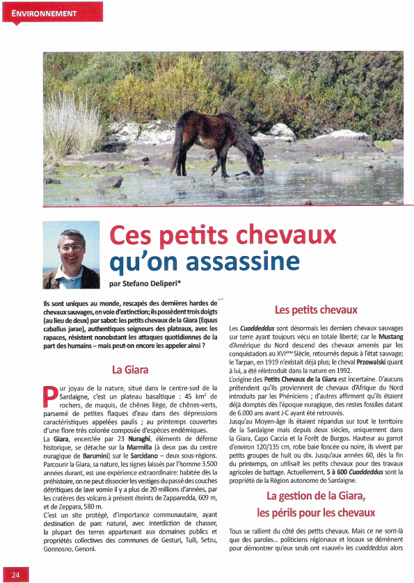 Arc en Ciel, n. 71, 2014