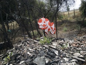 Quartucciu, discarica abusiva presso S.P. n. 94 e Lago Simbirizzi