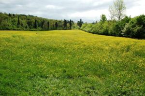 1010695_10202643949838686_7472328526101756782_n