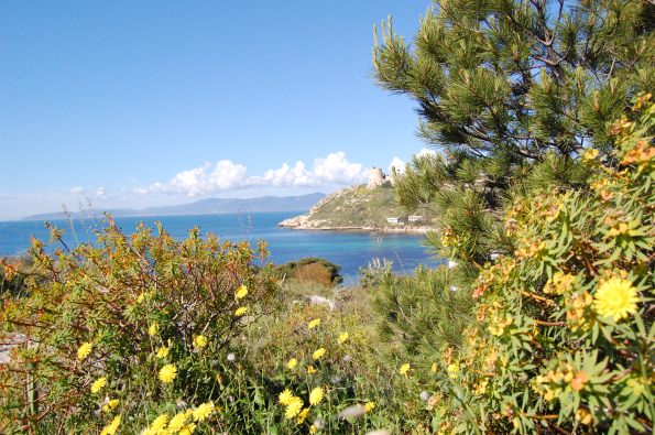 macchia mediterranea, sole, mare