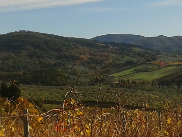 MONDEGGI 24-11-13 (17) - Copia