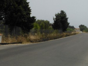 Quartu S. Elena, terreno percorso dal fuoco, 24 giugno 2014