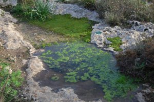 Cagliari, Sella del Diavolo, "vaschetta" naturale con acqua
