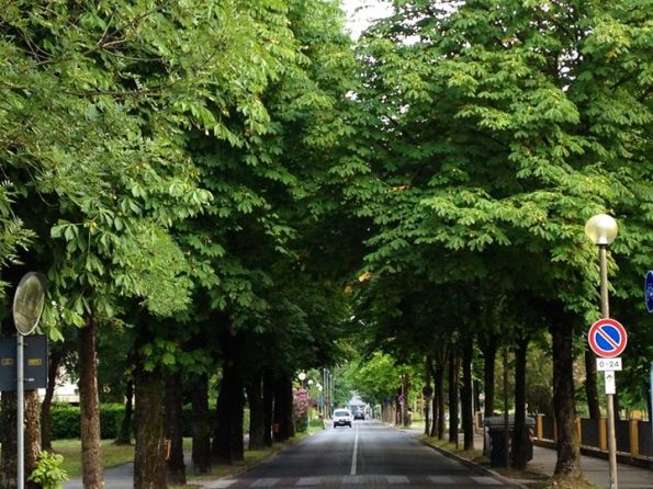 Abano Terme, Via Mazzini, Via Mazzini, storico stradone di accesso alla Villa comunale Bassi Rathgeb