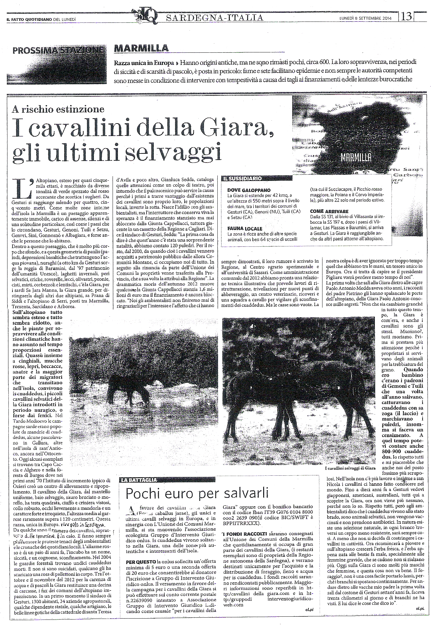 Diamo sicurezza ai Cavallini della Giara! | Gruppo d'Intervento Giuridico  (GrIG), image size:1382x2010