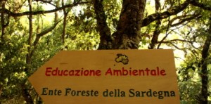E.F.S., itinerario di educazione ambientale