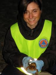 volontaria in una campagna di salvataggio dei Rospi