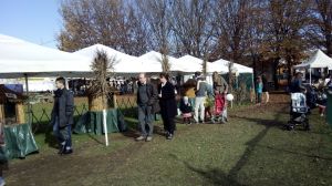 Piazzola sul Brenta, Fiera di San Martino, (nov. 2014)