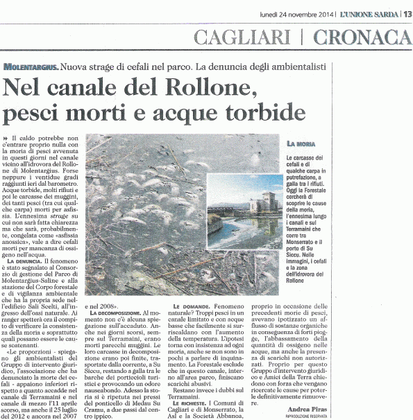 L'Unione Sarda, 24 novembre 2014