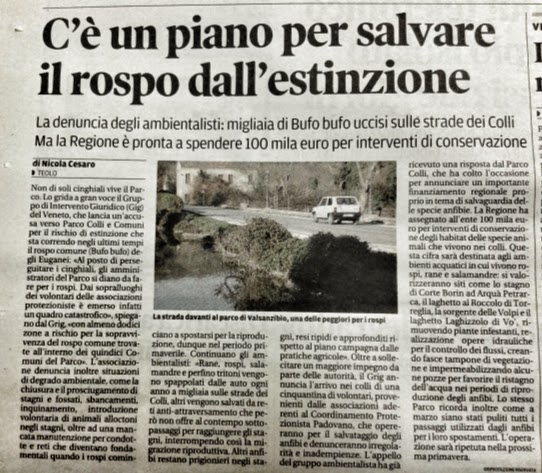 Il Mattino di Padova, 12 novembre 2014 