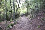 Sette Fratelli, Foresta demaniale, sentiero nel bosco