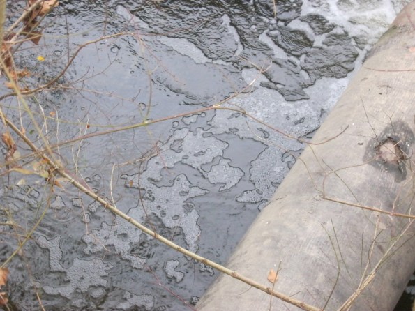 Veggiano, scarico del depuratore