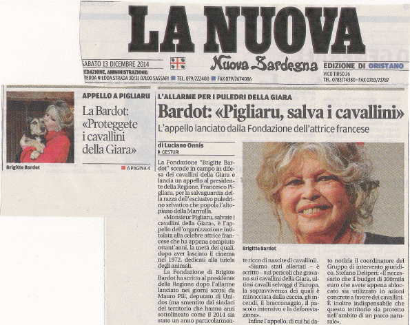 La Nuova Sardegna, 13 dicembre 2014