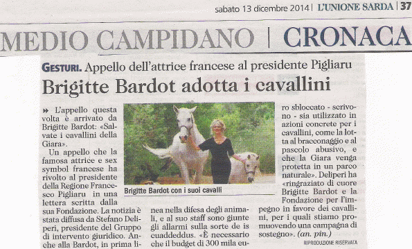 L'Unione Sarda, 13 dicembre 2014