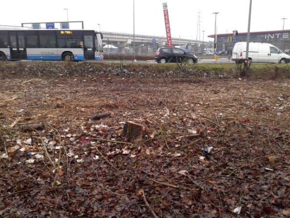 Padova, Via Fornace Morandi dopo il taglio degli alberi