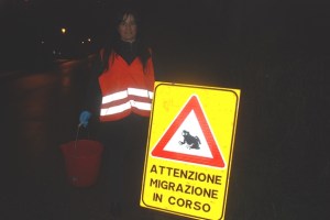 Colli Euganei, volontaria a sostegno della migrazione dei Rospi