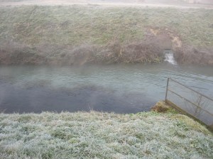 Cologna Veneta, Fiume Fratta-Gorzone (la colorazione è emblematica)