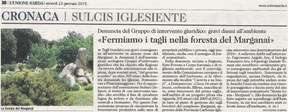 L'Unione Sarda, 23 gennaio 2015